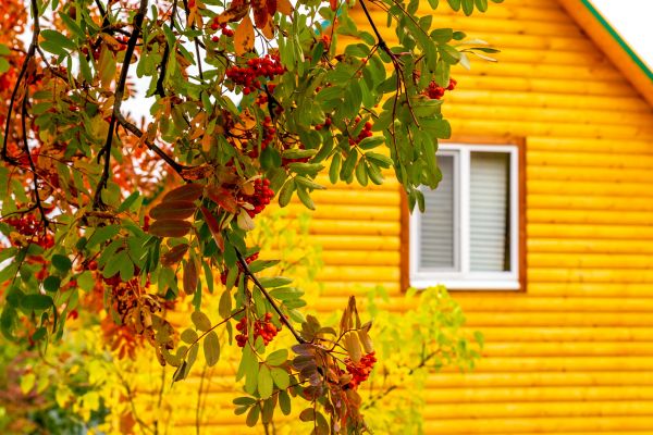 Cost of Garden Window Replacement in Kingwood